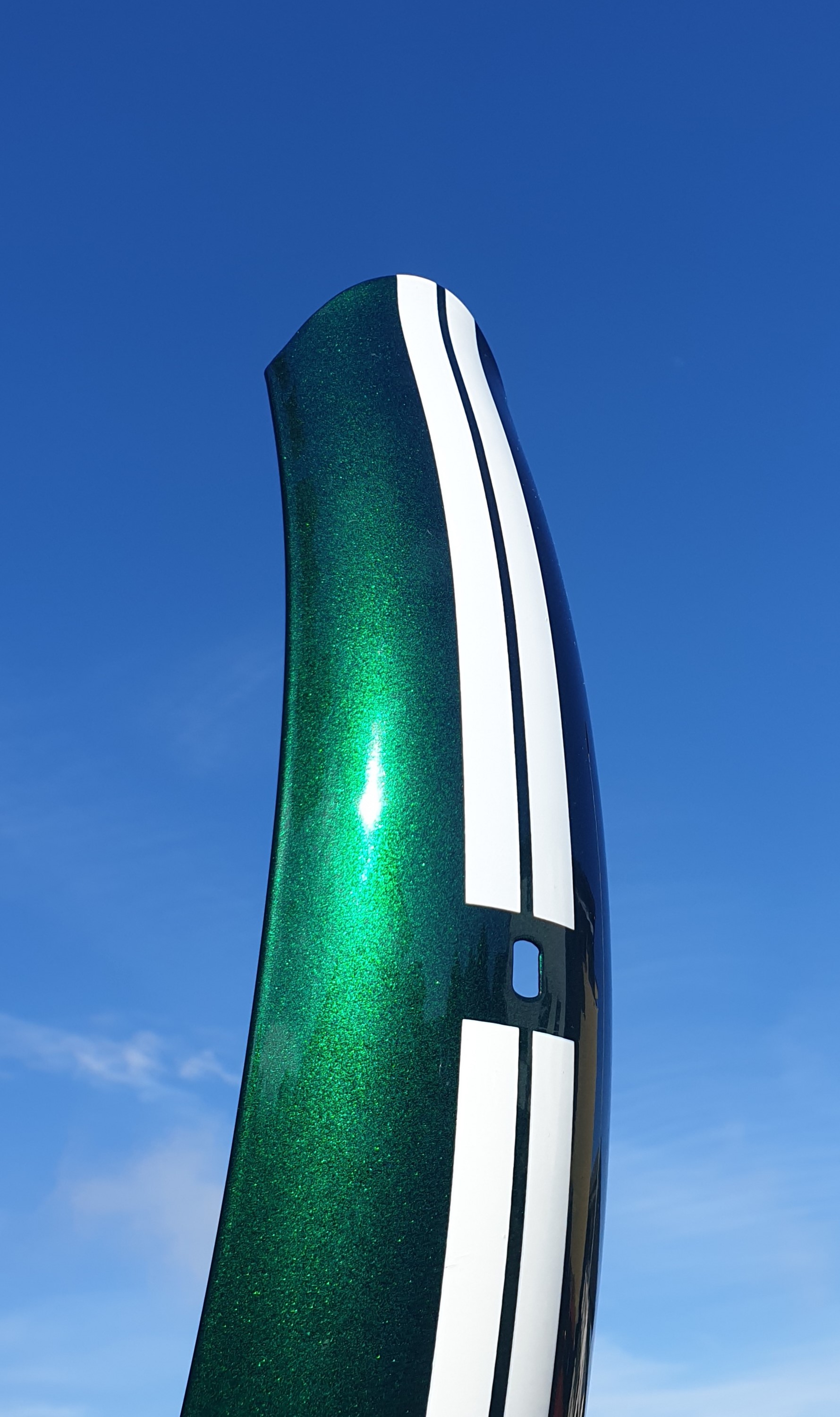 Electra_RallySport_Fender_Rear_16