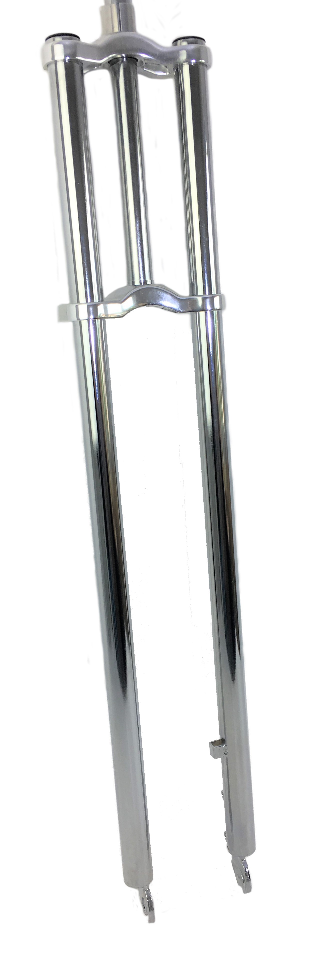 img_1556-1OhC9YmjHsIohx